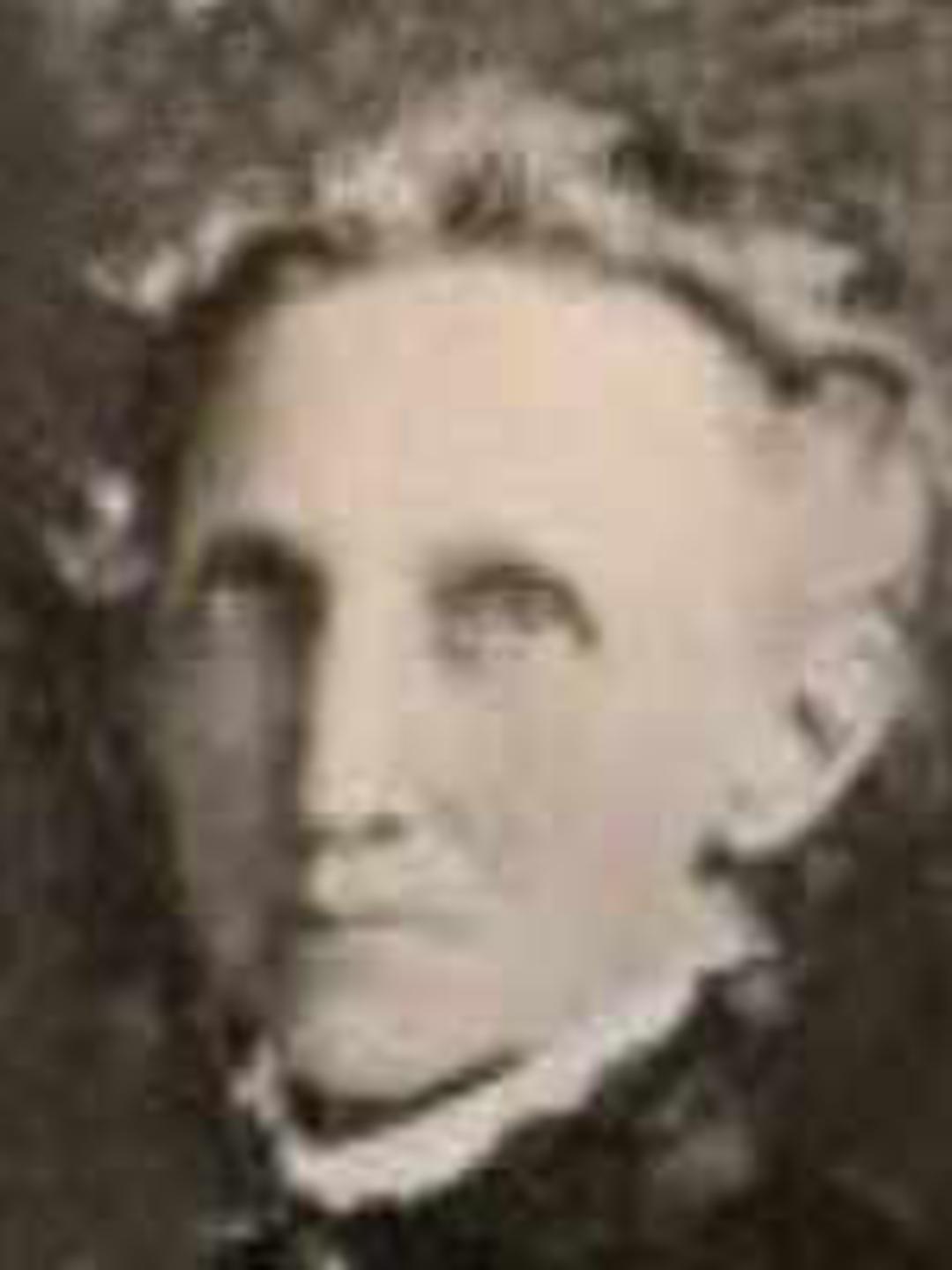 Mary Ann Phillips (1848 - 1914) Profile